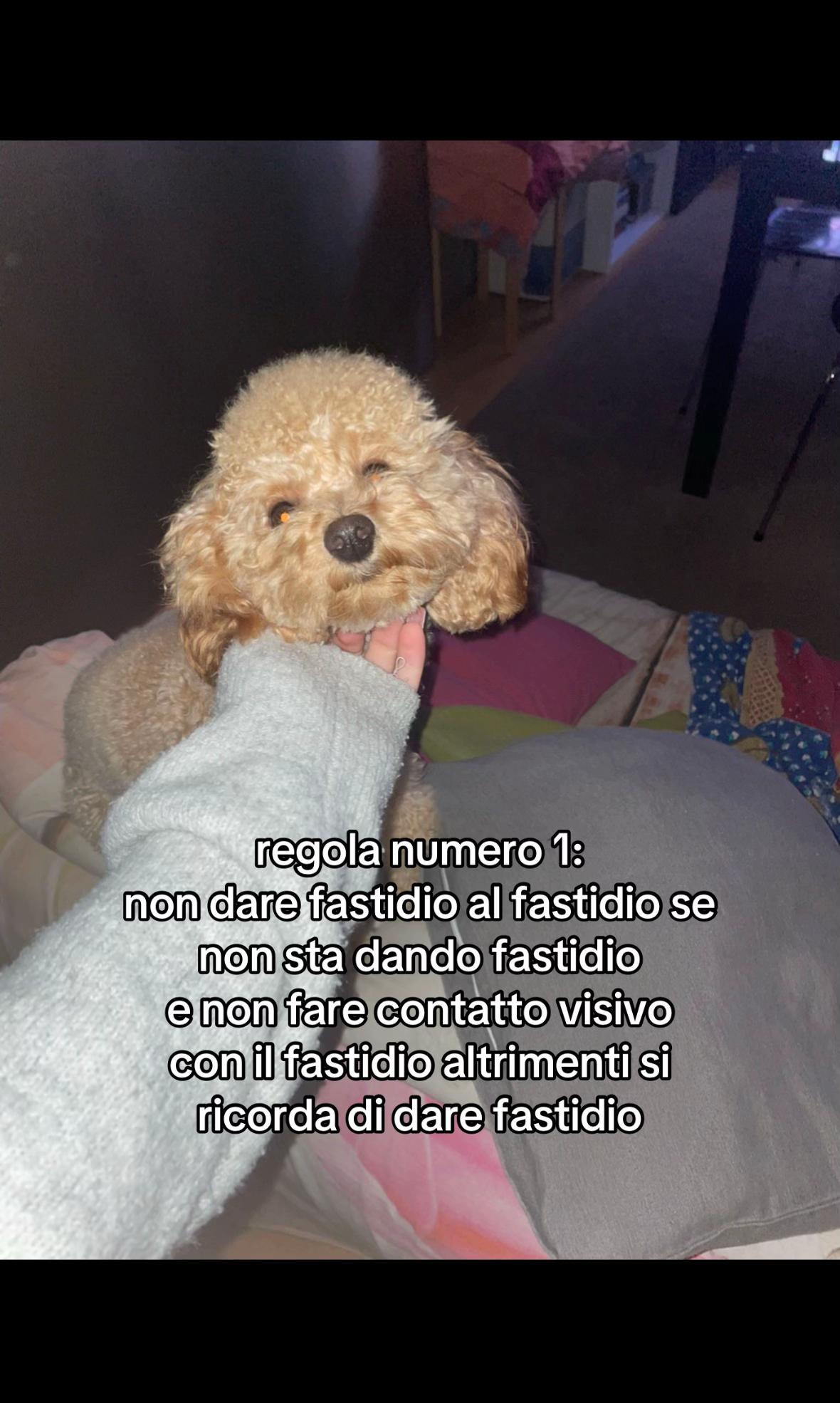 @MaRy