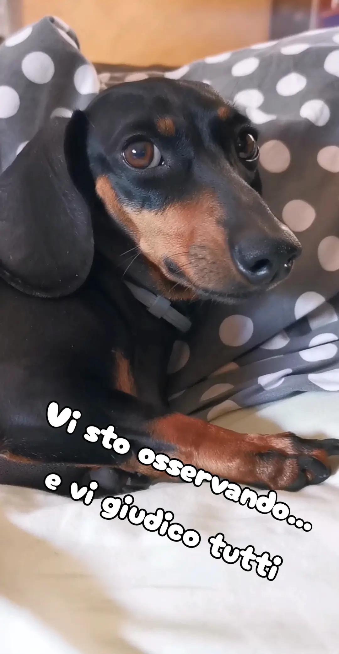 @Sonia Costantini