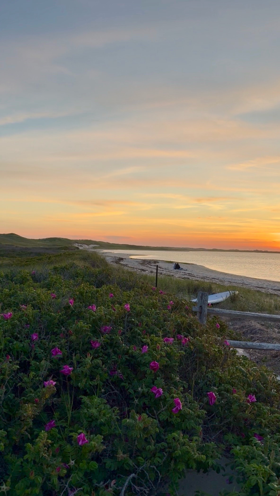 @Morgan | Nantucket Realtor