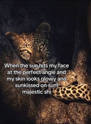 @dante_hudnall