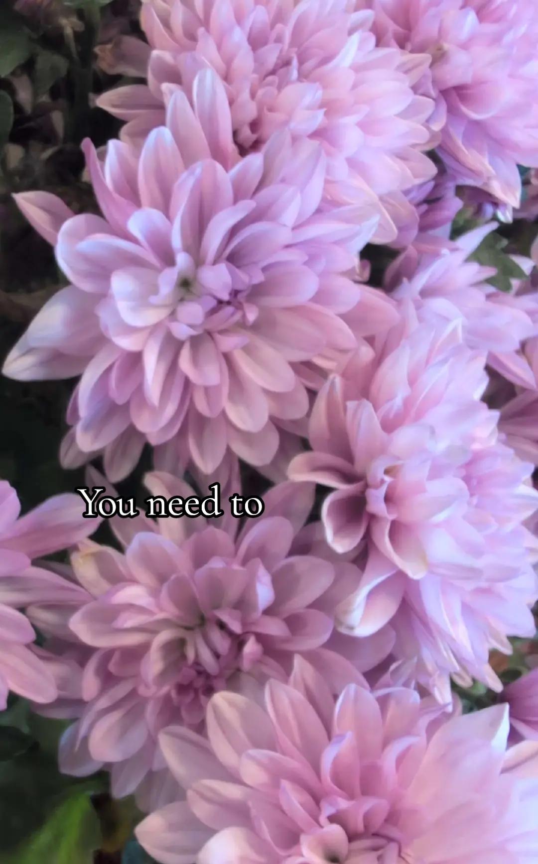 @Anna <3