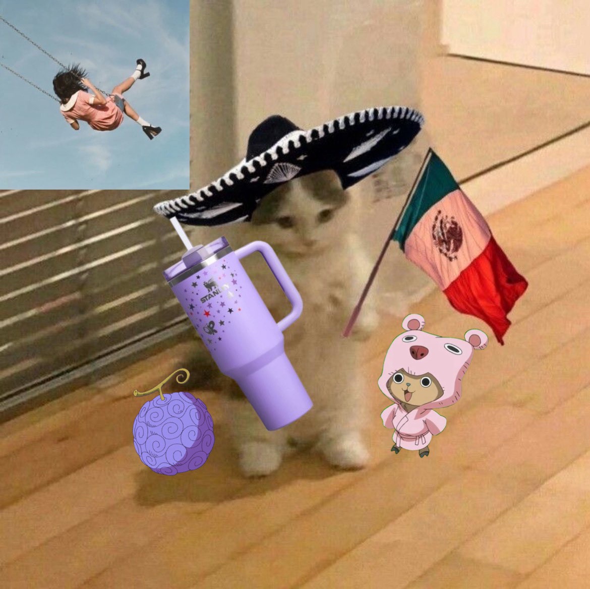 @steph๐