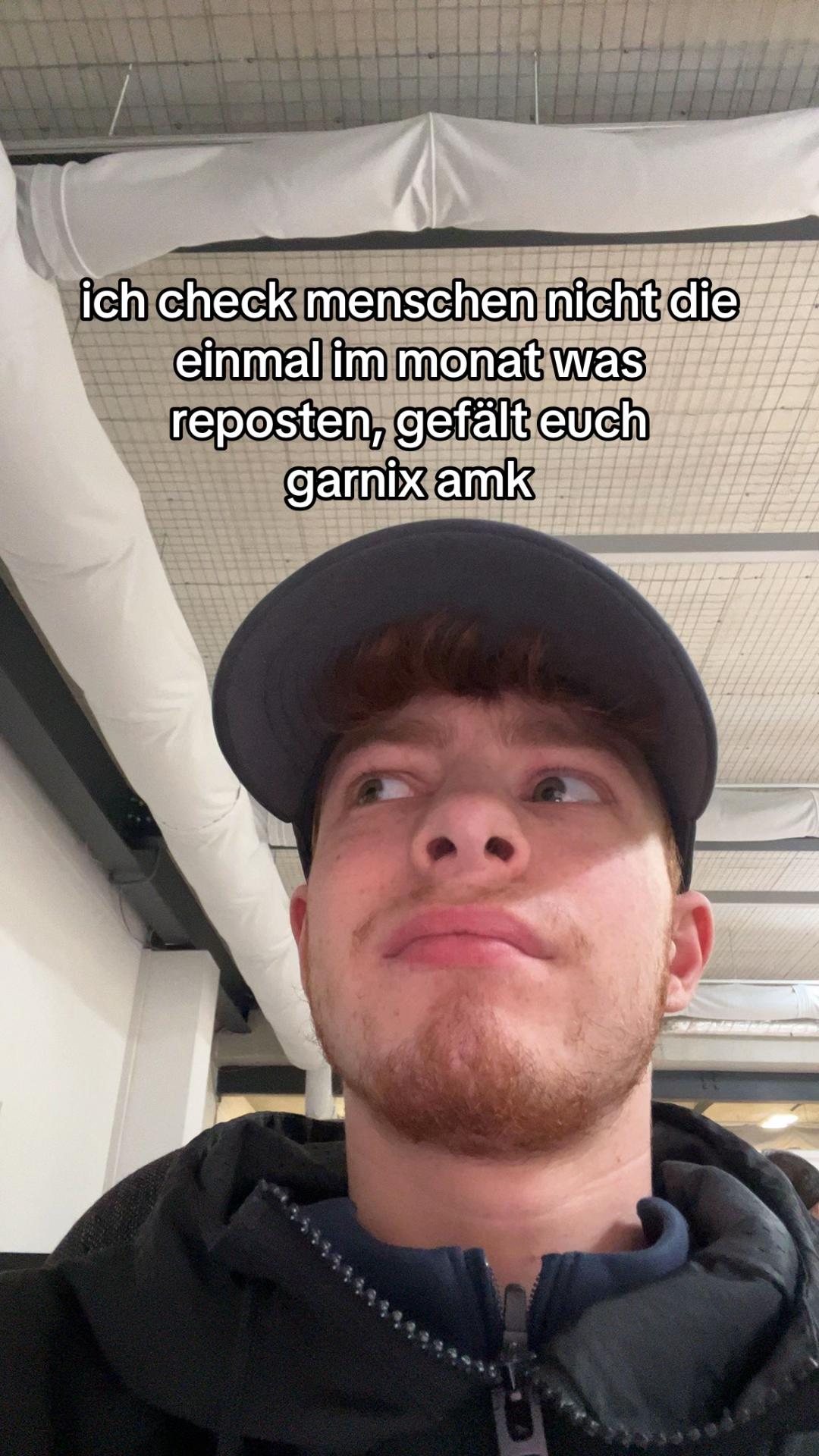 @dimi_Ginger