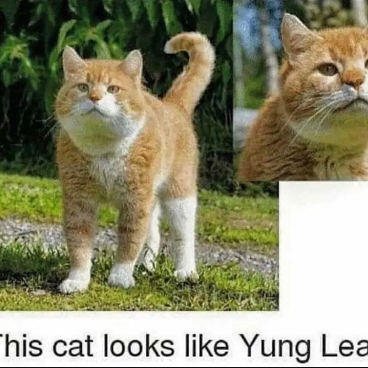 @yunglean2001fanpage