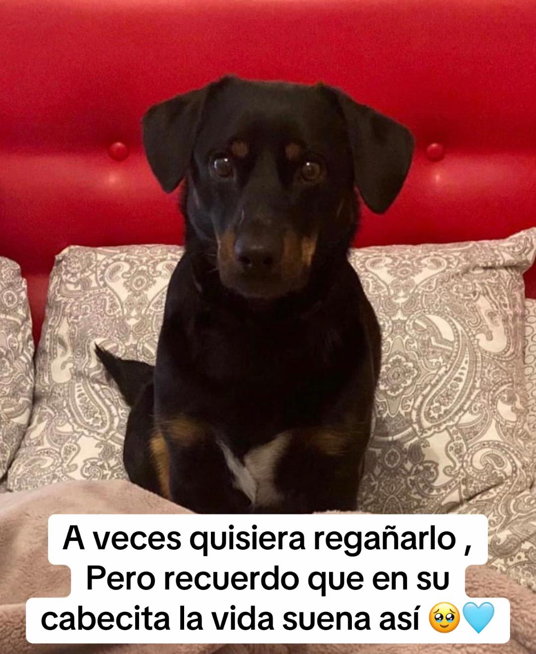 @Corita