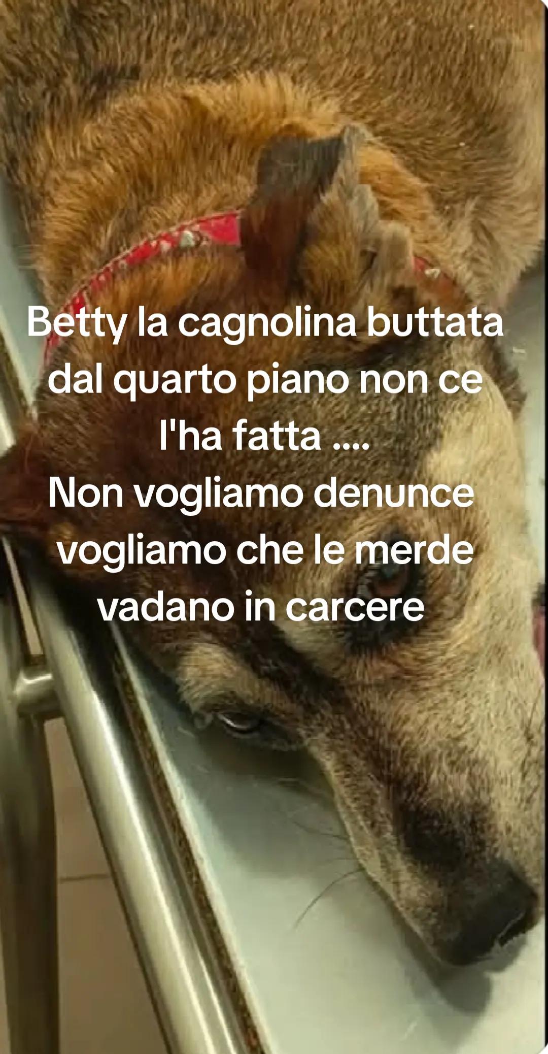 @Eleonora