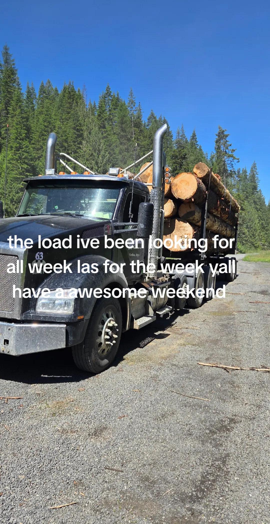 @wolf_of_odin_gaming_logtrucker