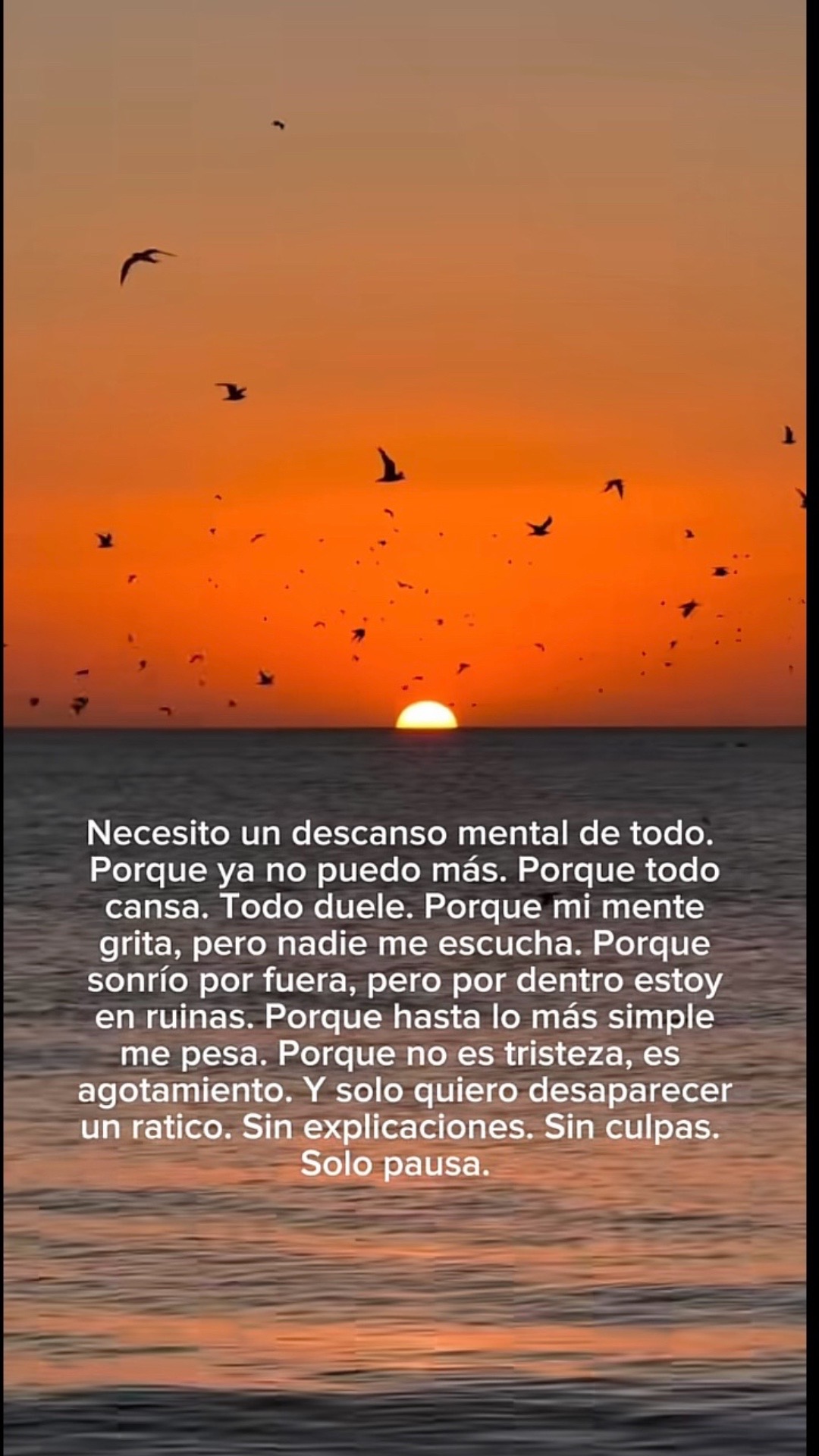 @Yunina sabillon