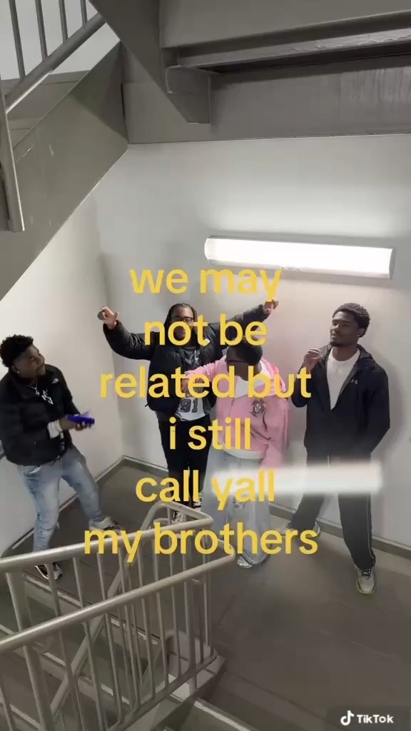@🕷️