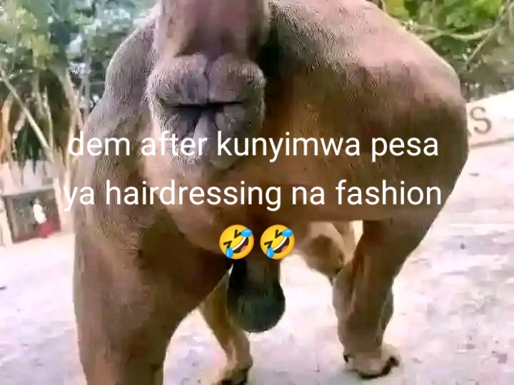 @Rexsam