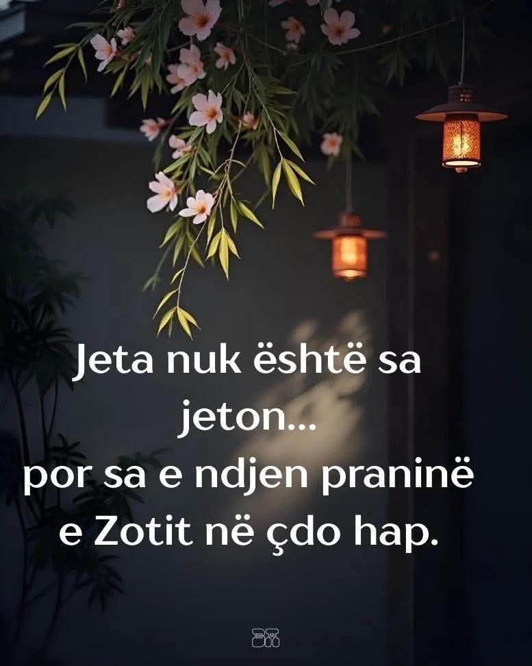 @Nikoll Nikolli