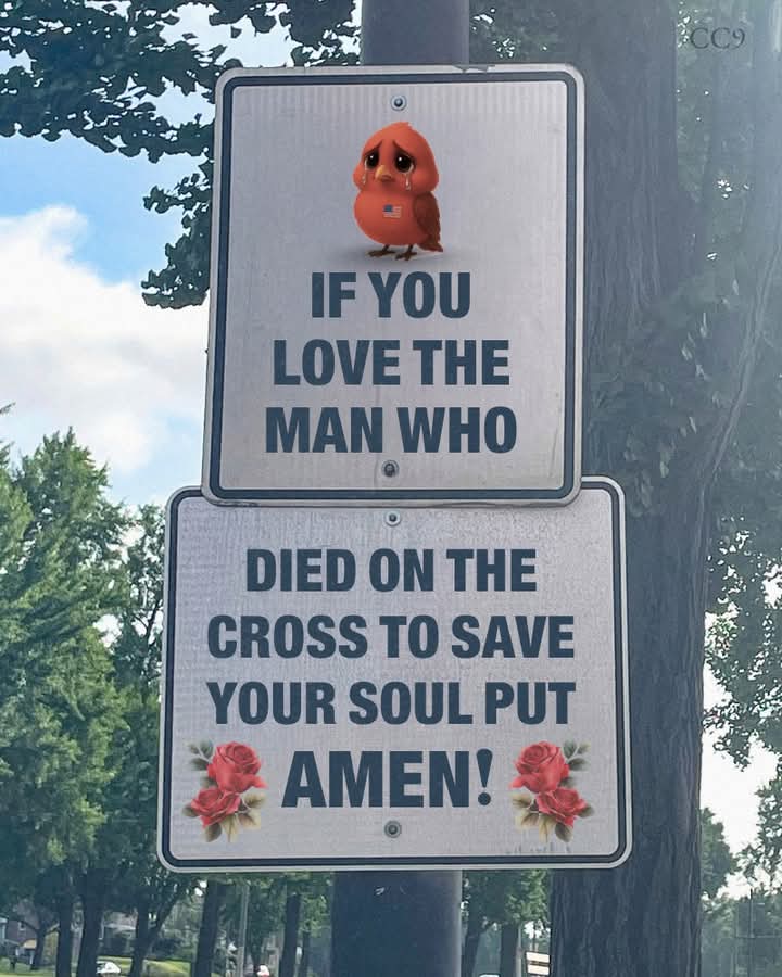 @The Real One