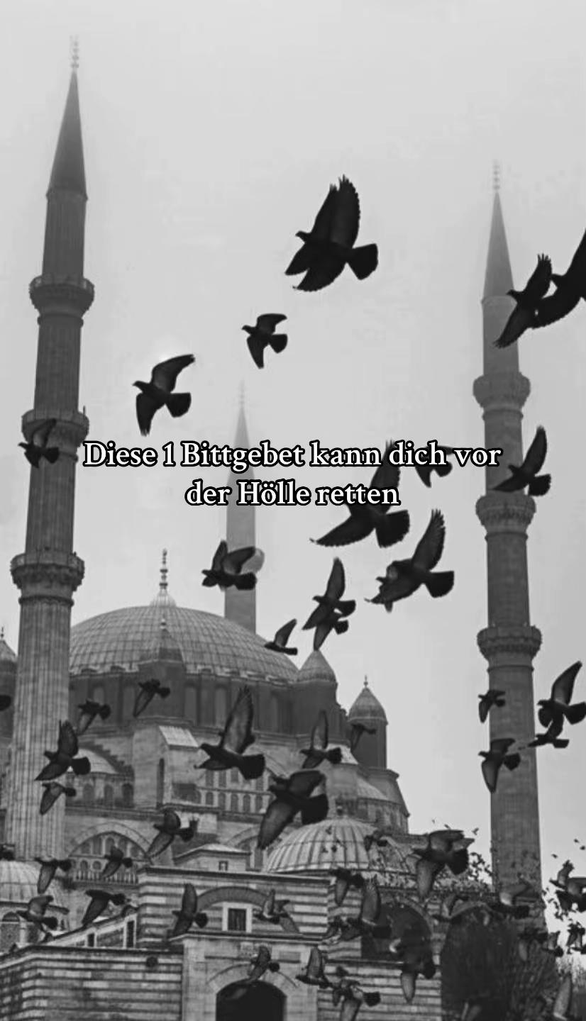@islam 🕋