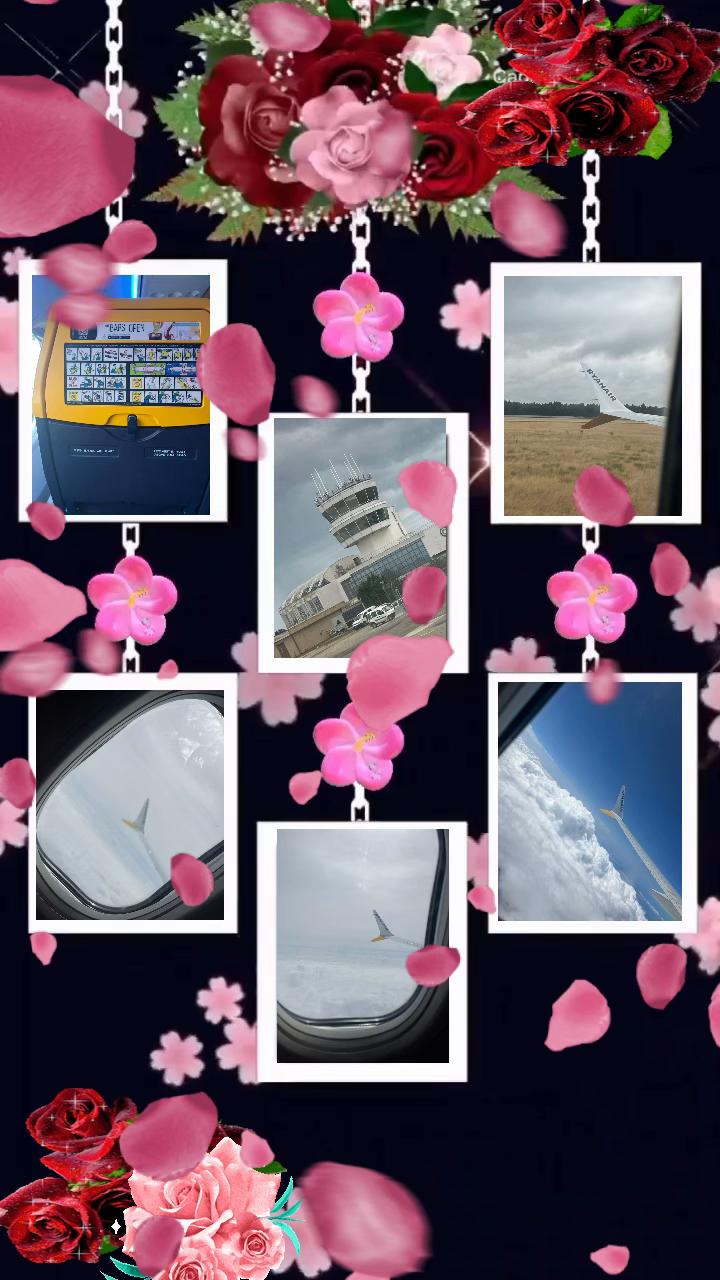 @roberta cavaliere