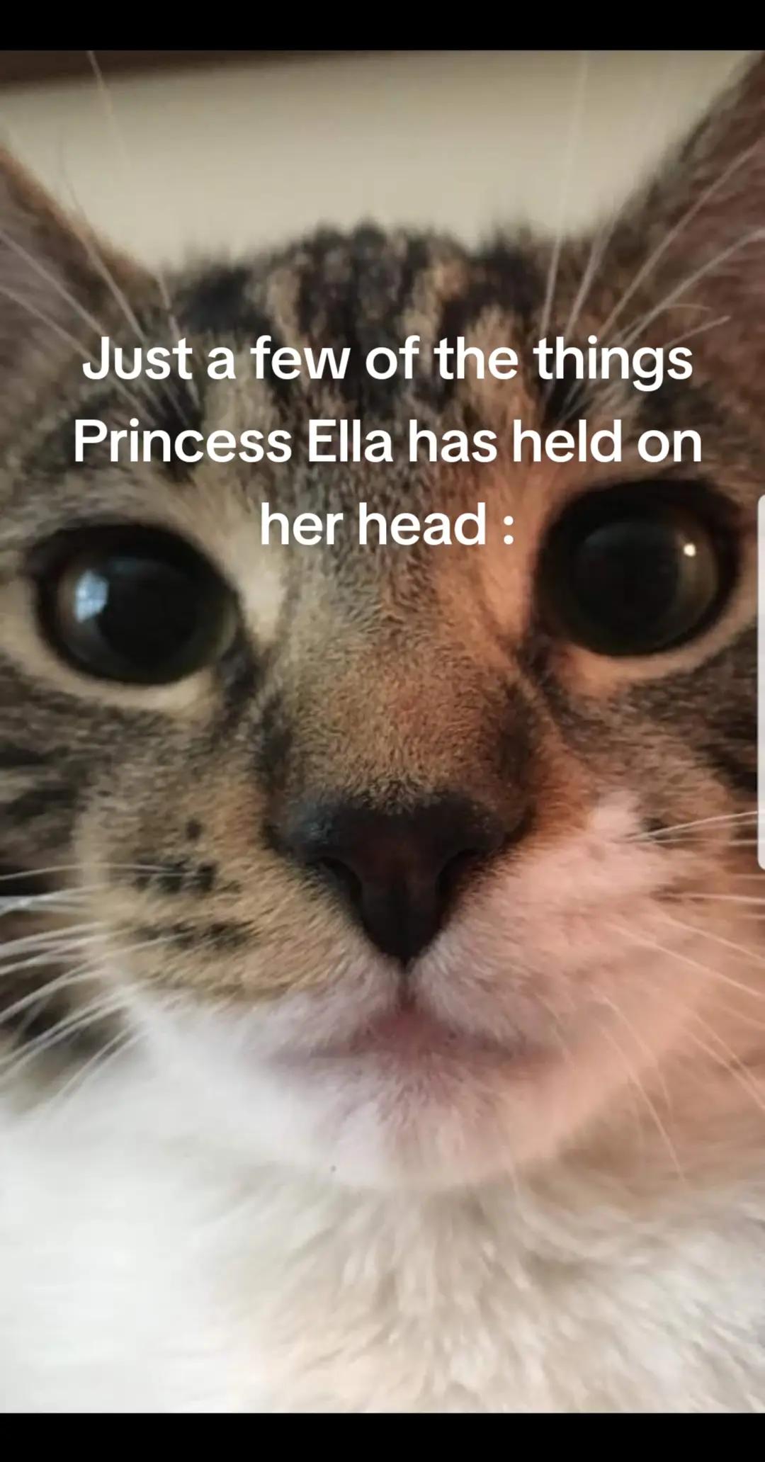 @Windin𓇢𓆸
