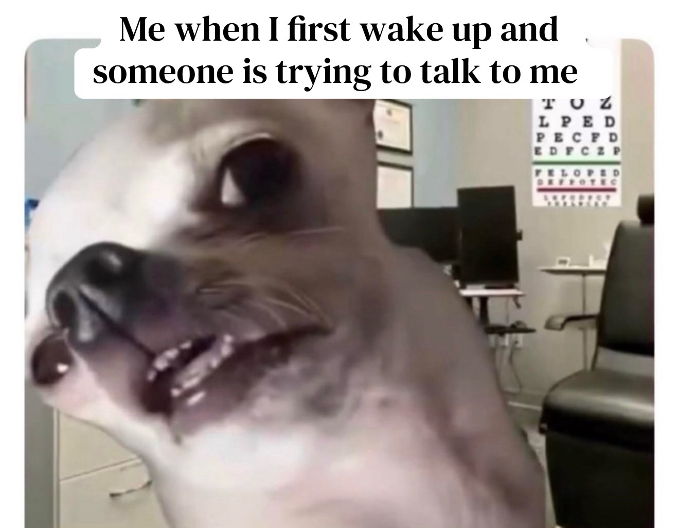 @J&aelig;