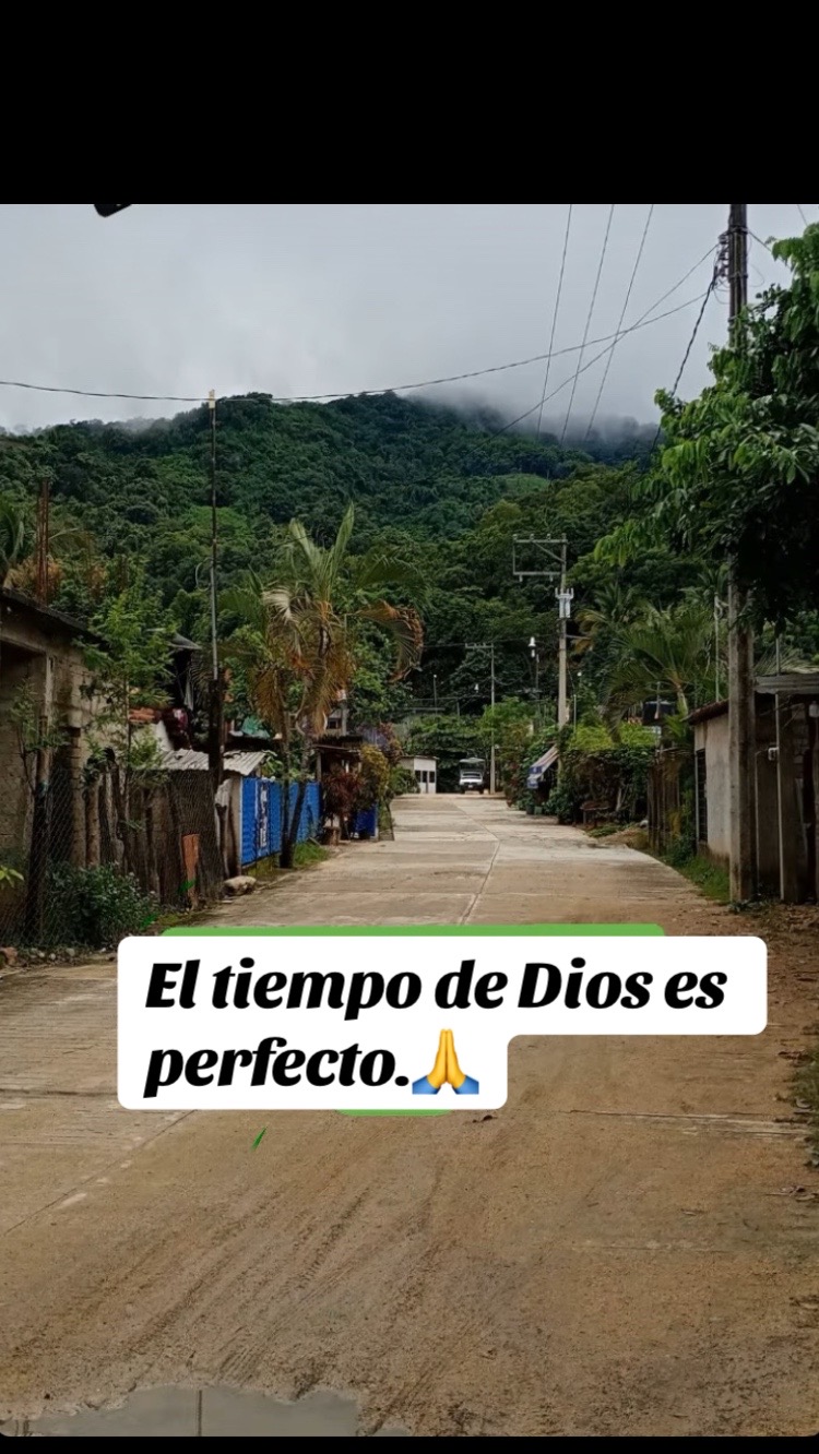 @Laura Matias347