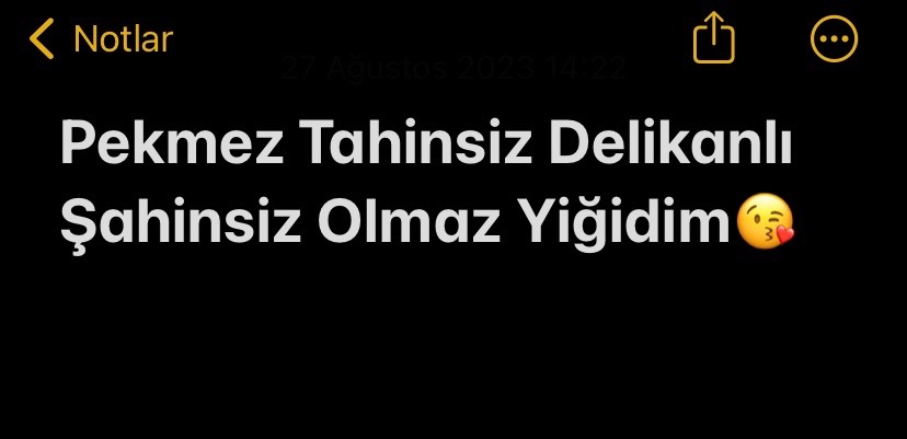 @ardaisler06