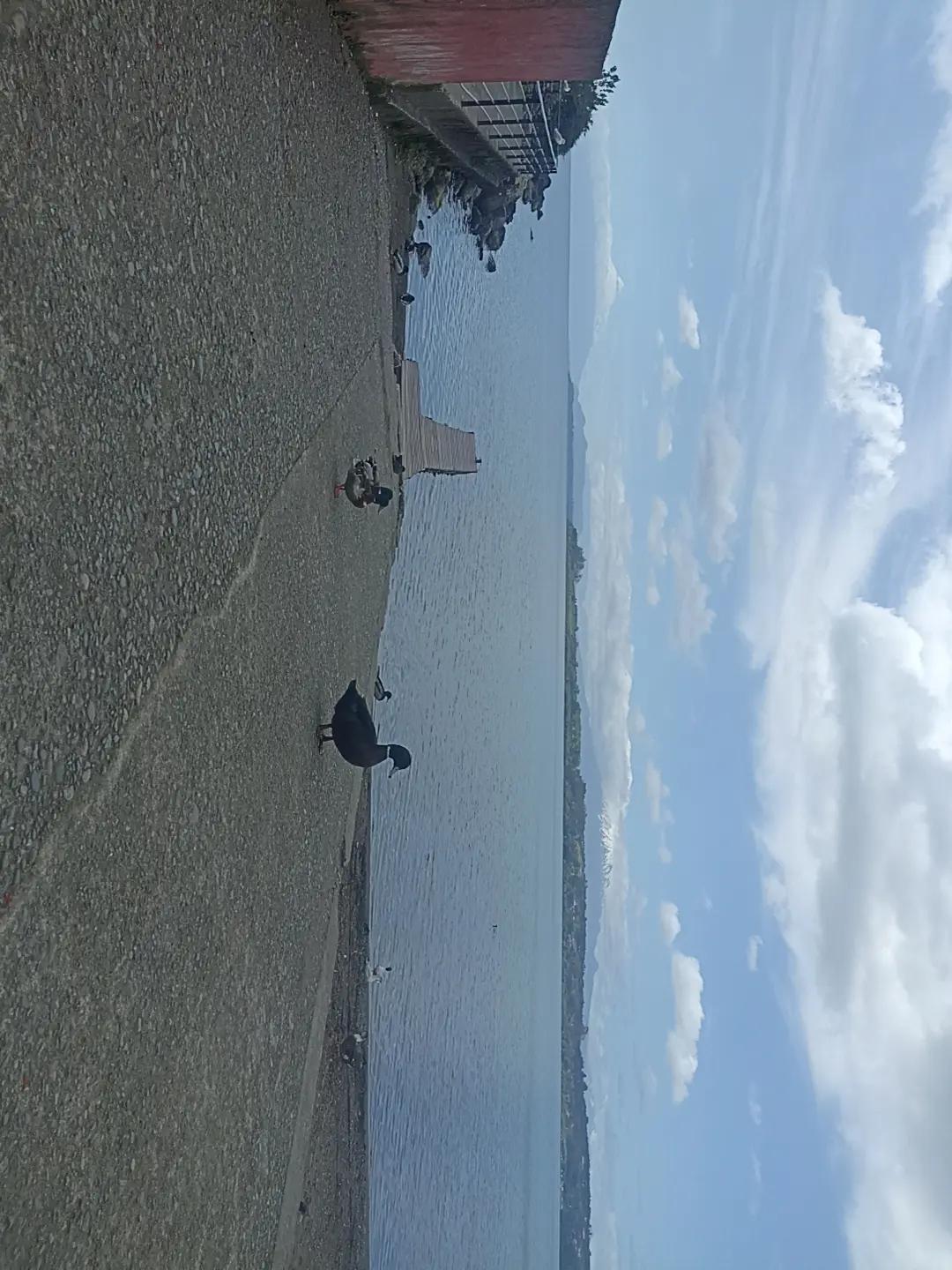 @jejo✌️✌️(chiloe)