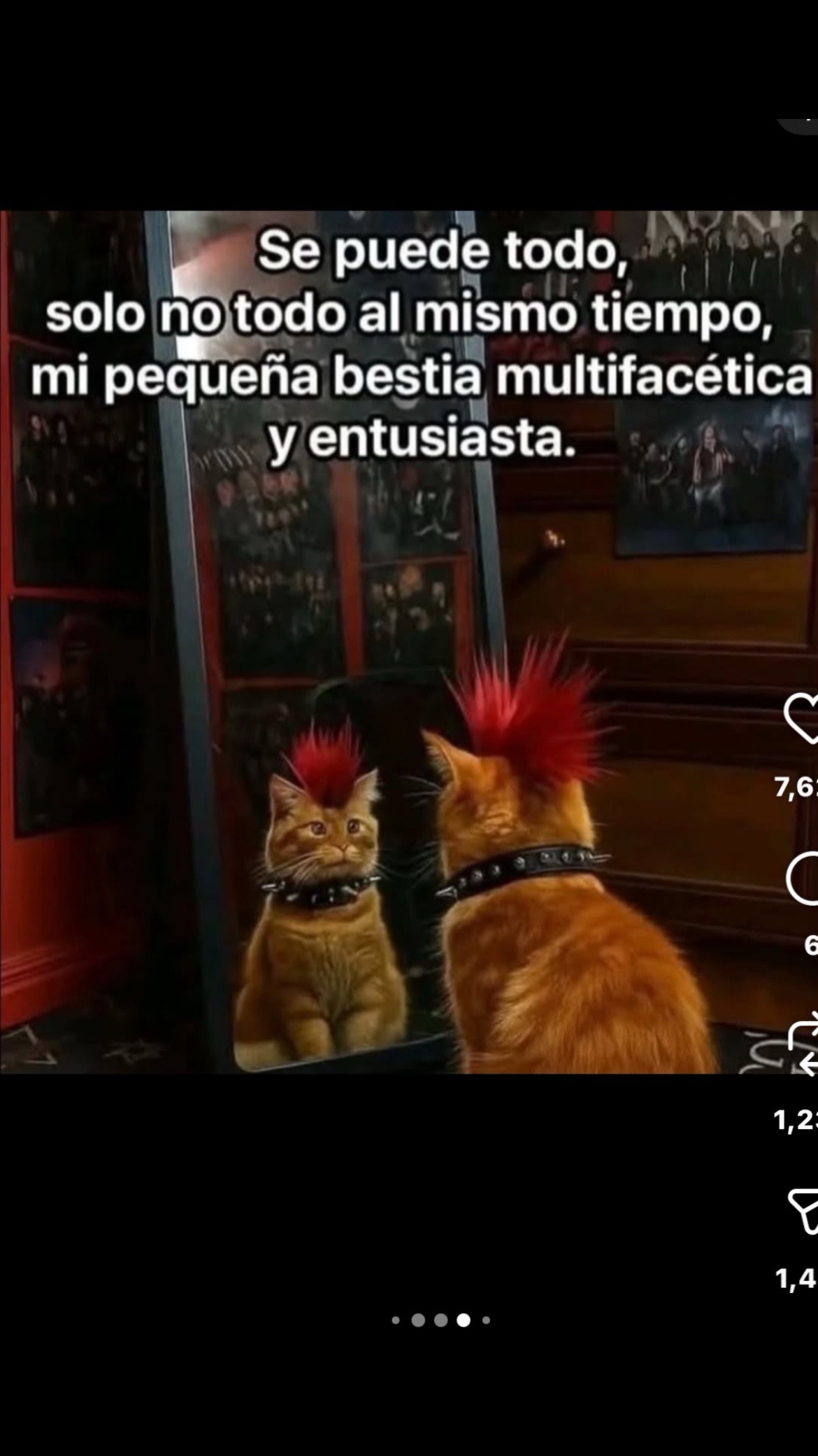@Onne PEREIRA()