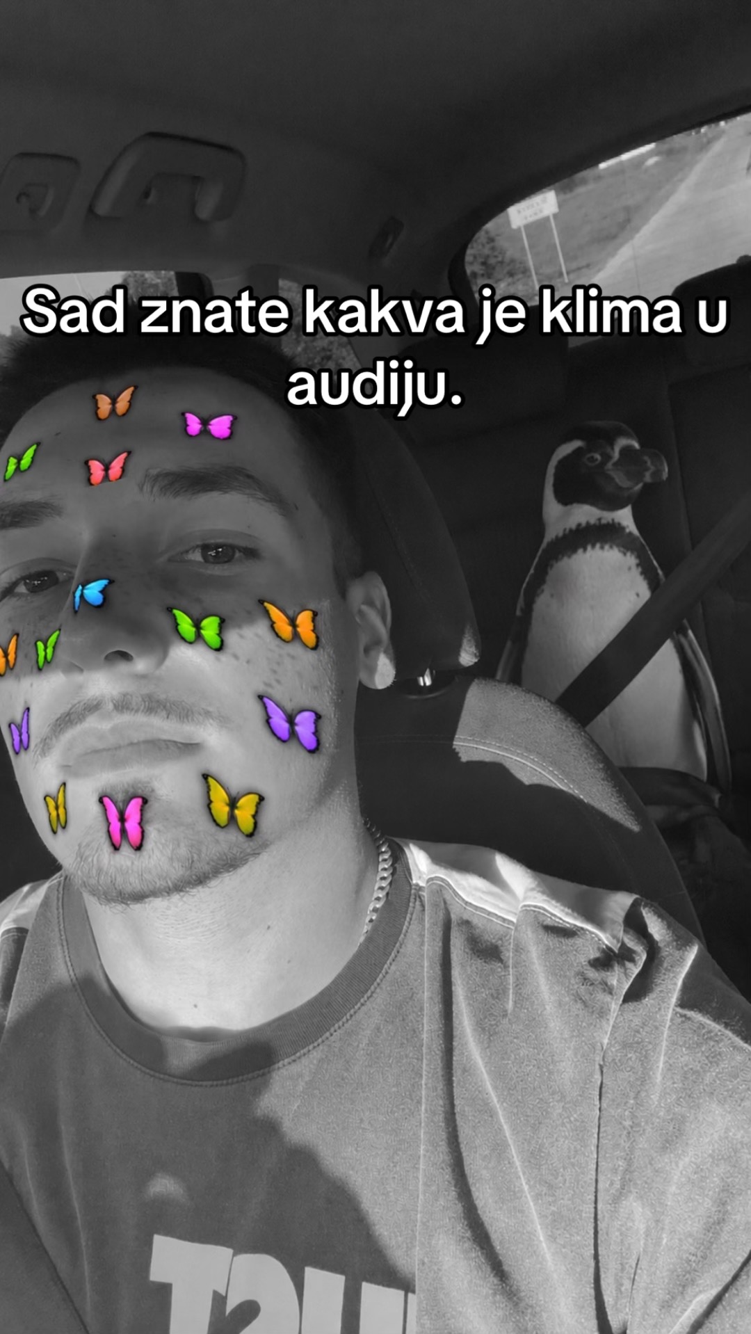 @Marković