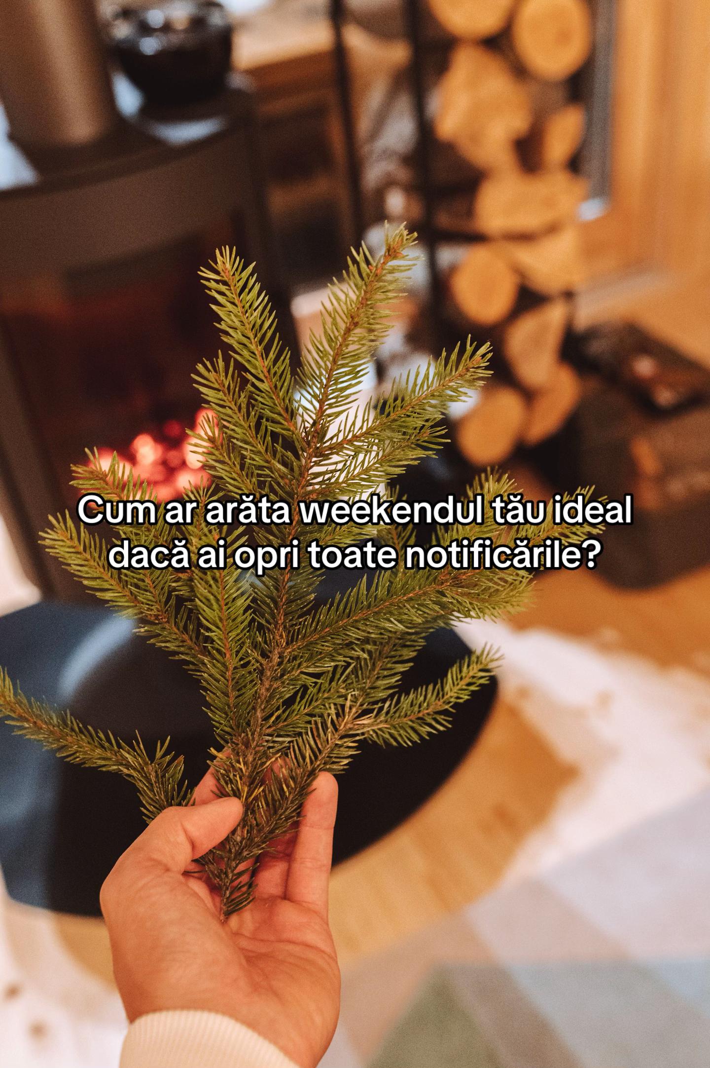 @Strajerii Verzi