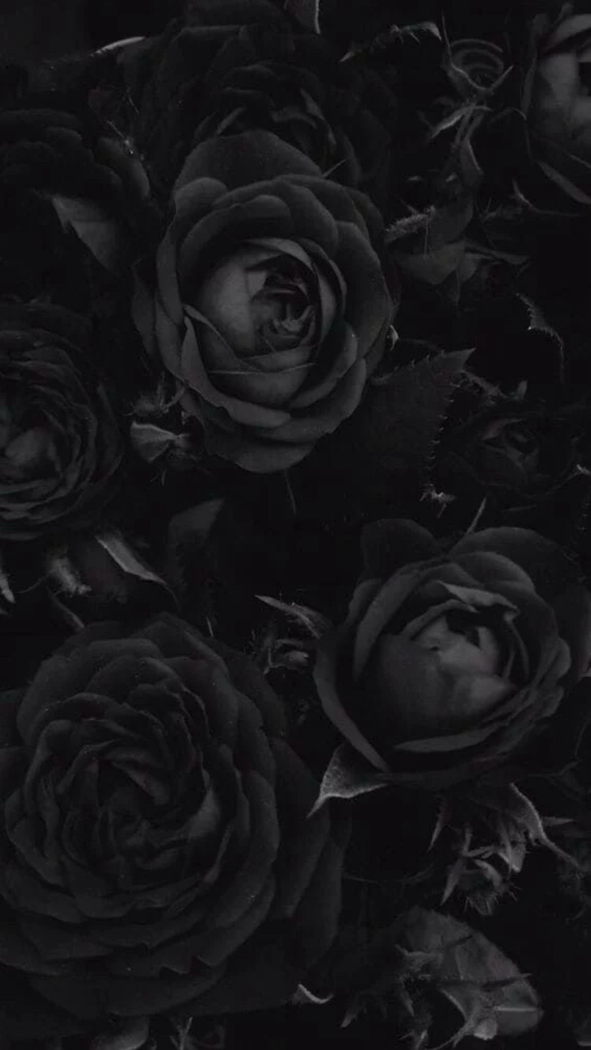 @༄₊˚☁️ 𝑯𝒂𝒏𝒋𝒊 ☁️˚₊༄