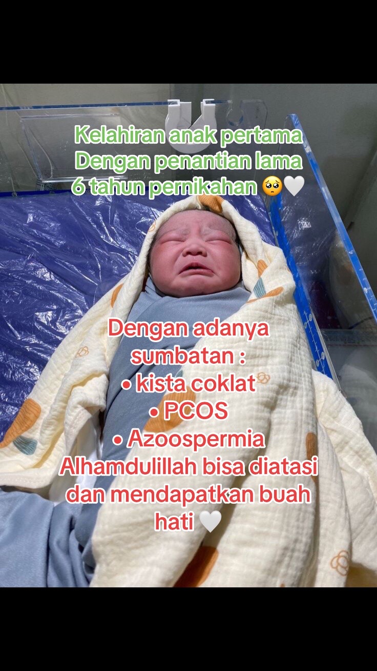 @promilholistik