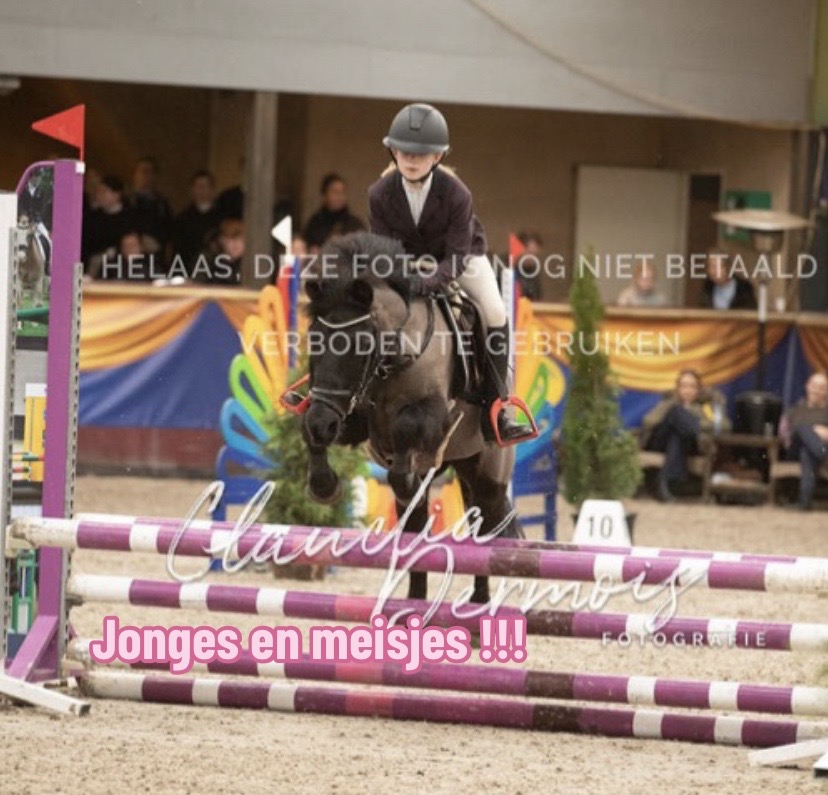 @allroundxgroep🩷🐴