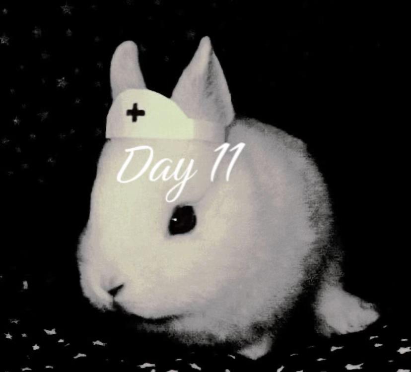 @my.darling.diary