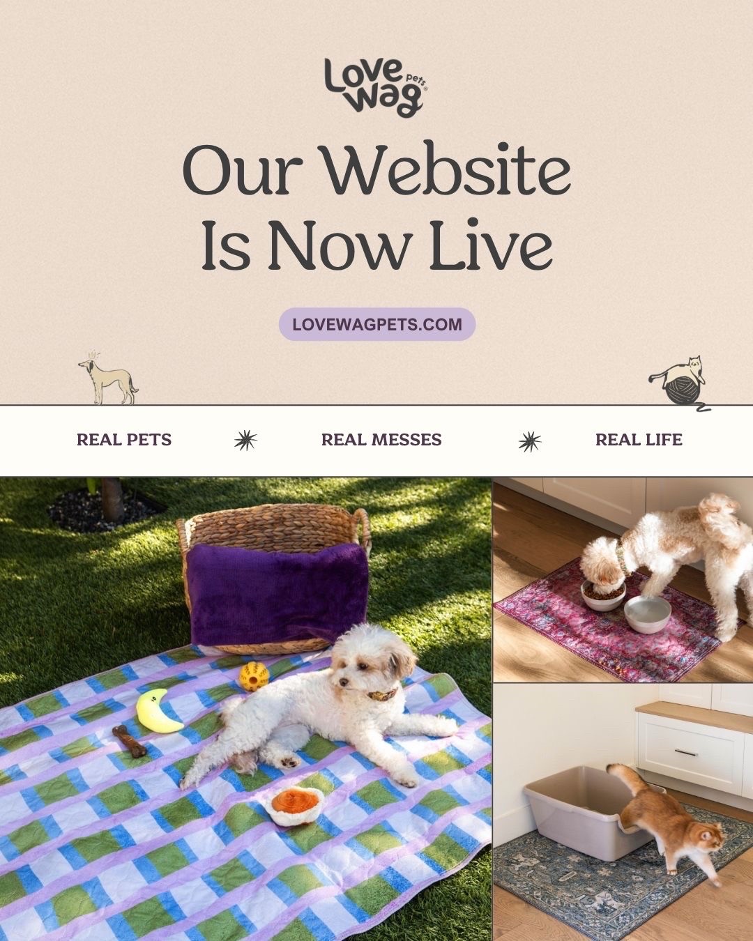 @Lovewag Pets