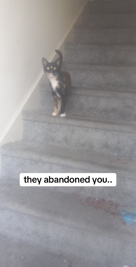 @amandagranda