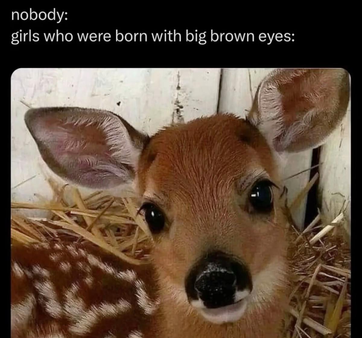 @🩷