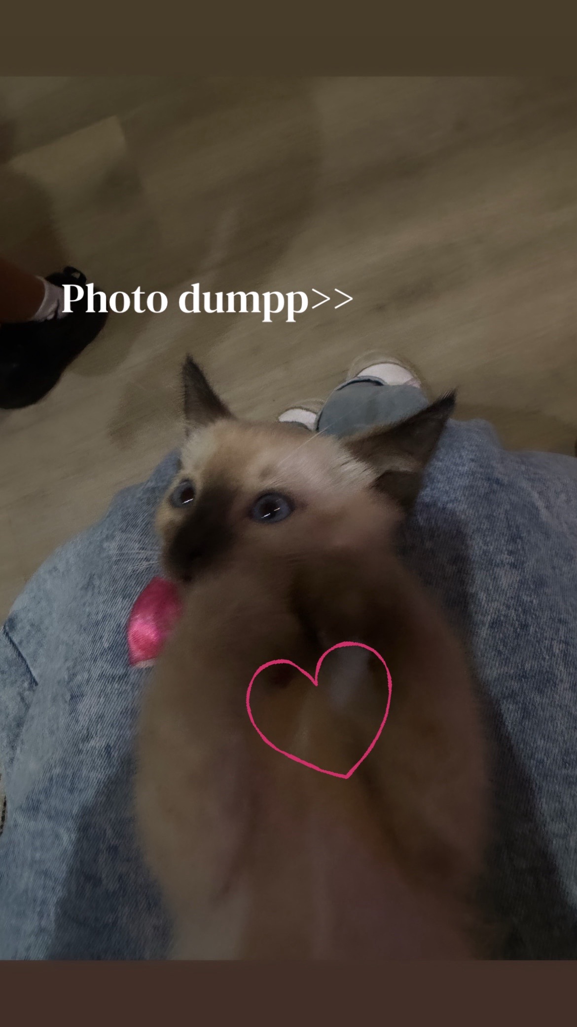 @𝒥𝒶𝓇ℯ𝓈𝓁𝓎 ❀