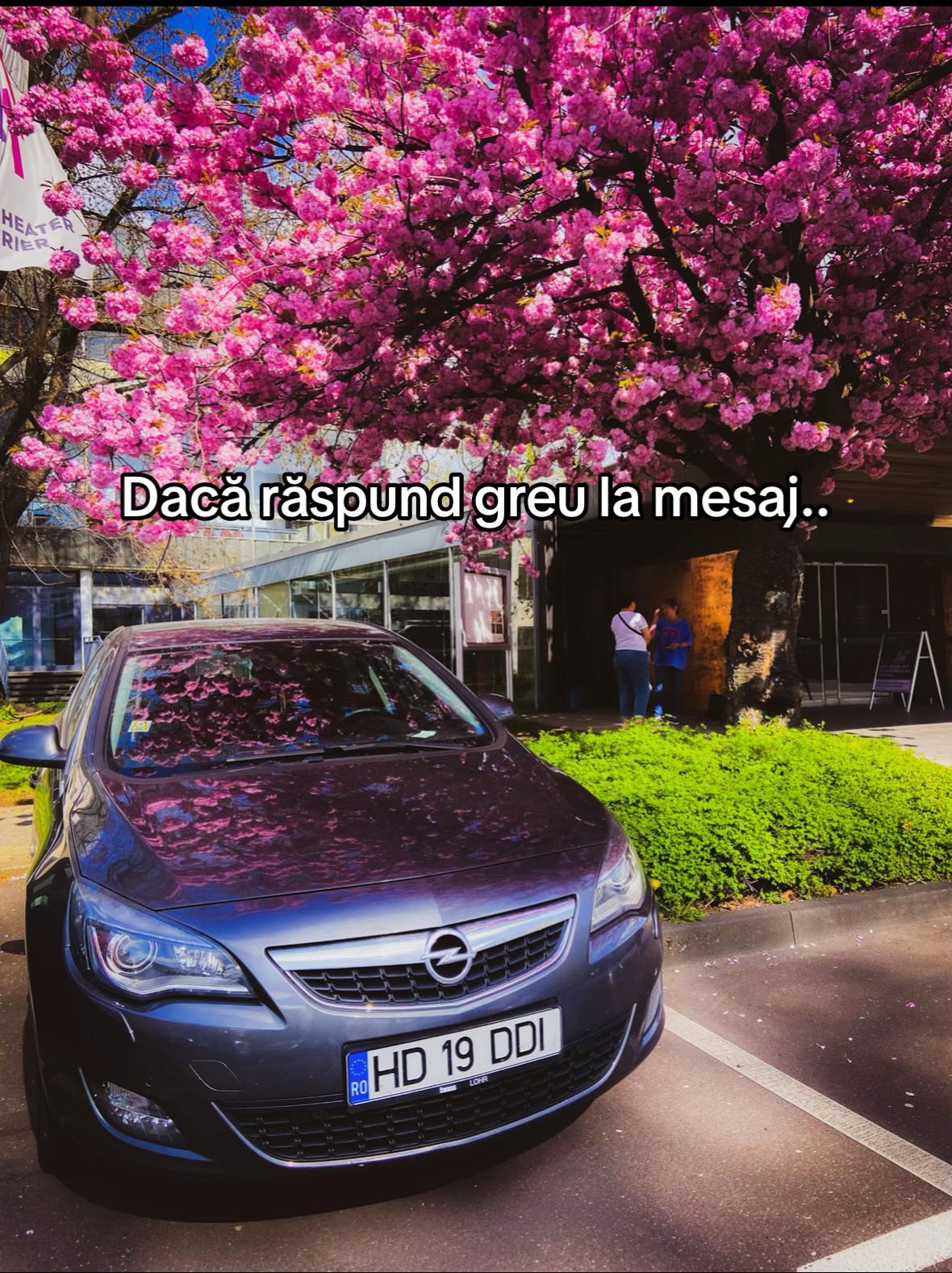 @S&acirc;rb Diana