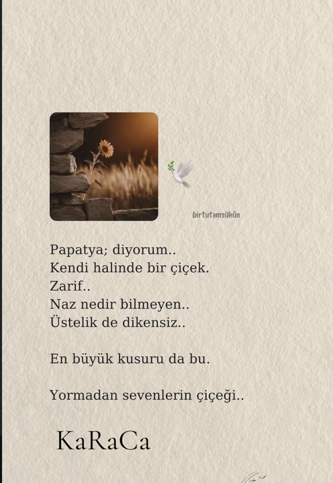 @KaRaCa