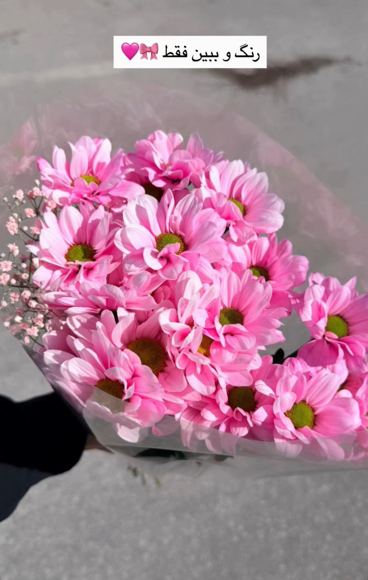 @Leyla 🌹