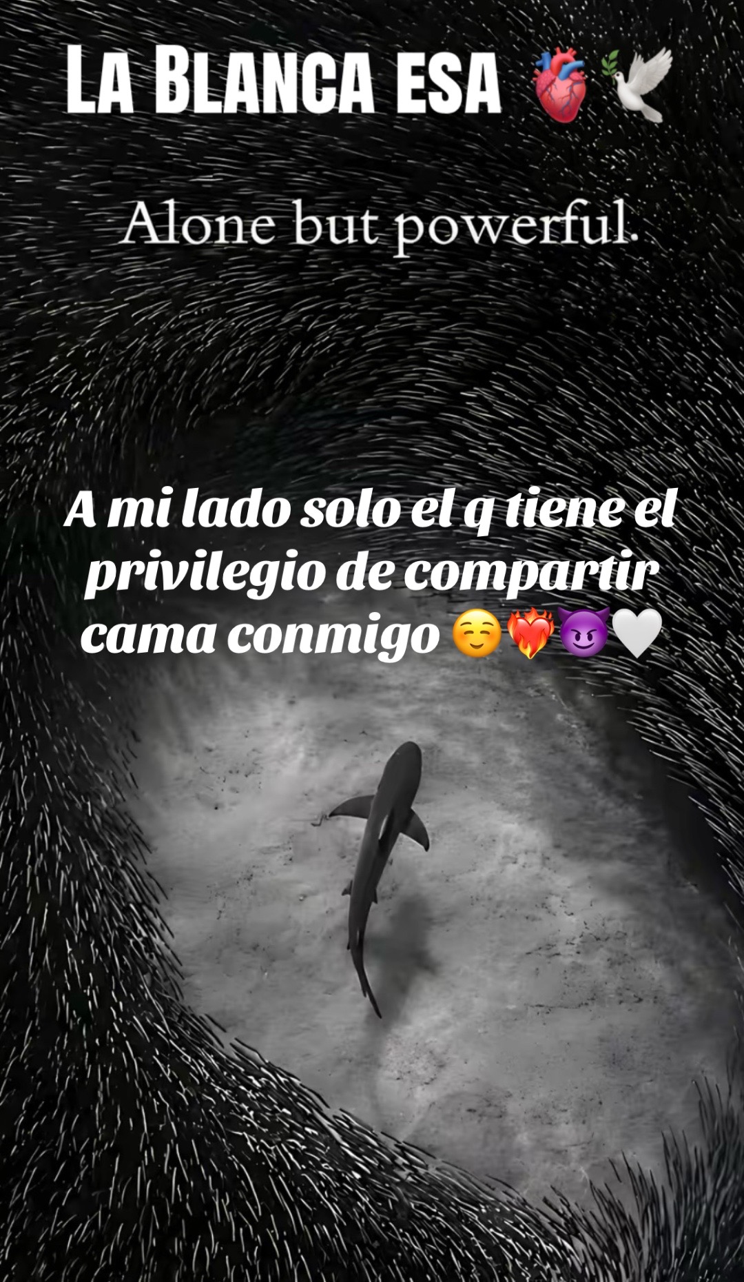 @Lacasadeeggun🤍🖤