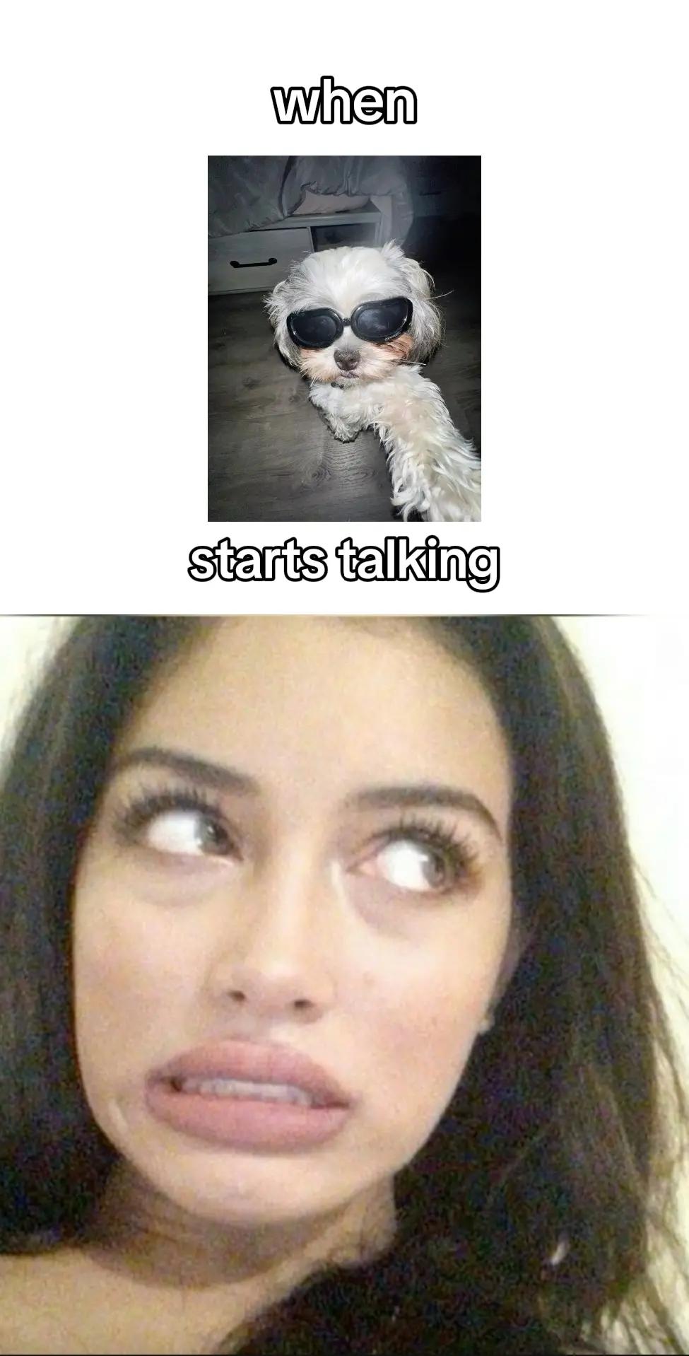 @whatthesigma