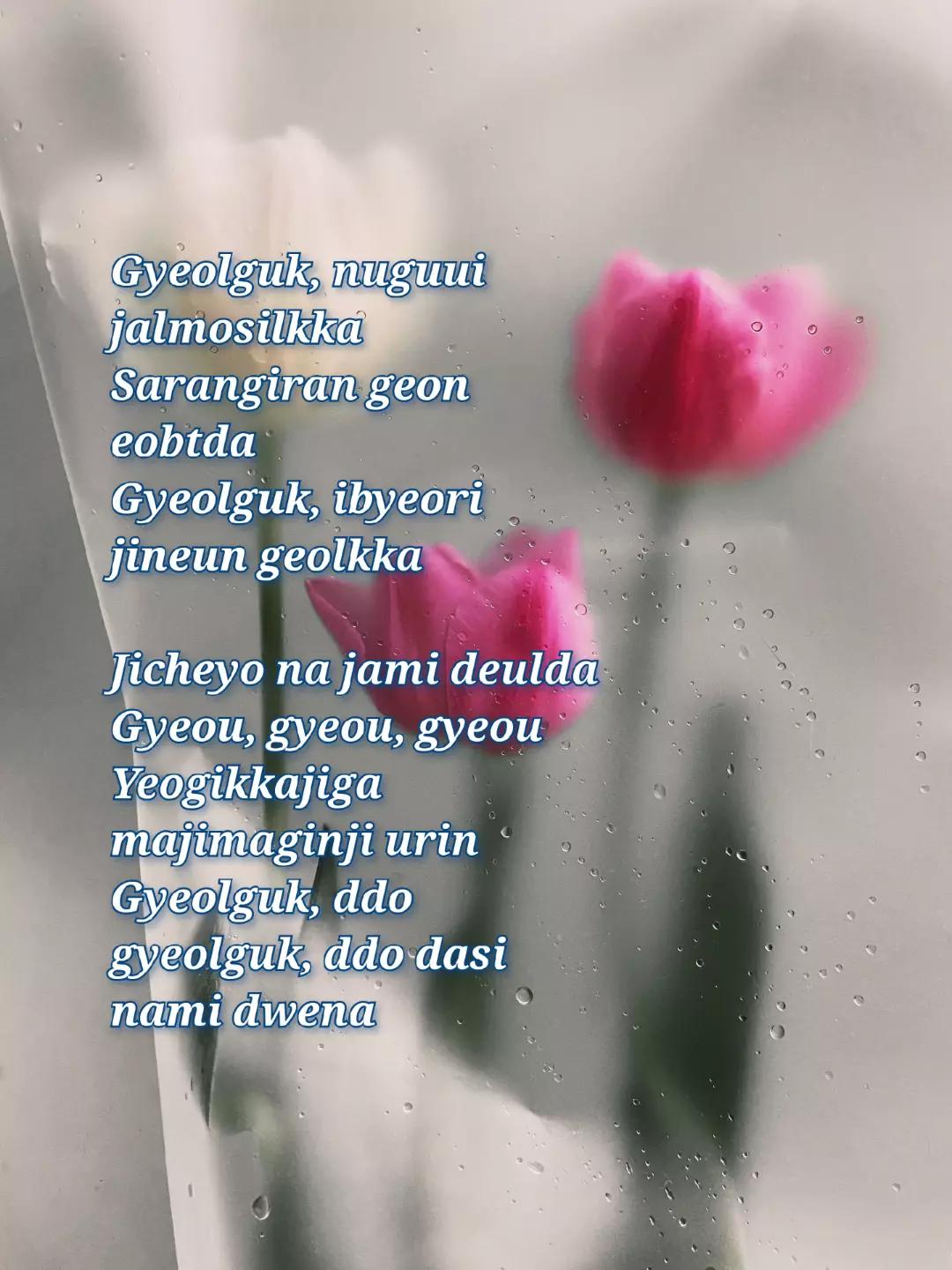 @Ann🦋