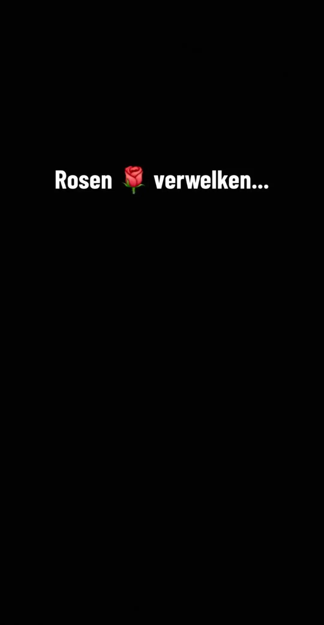 @dizzer