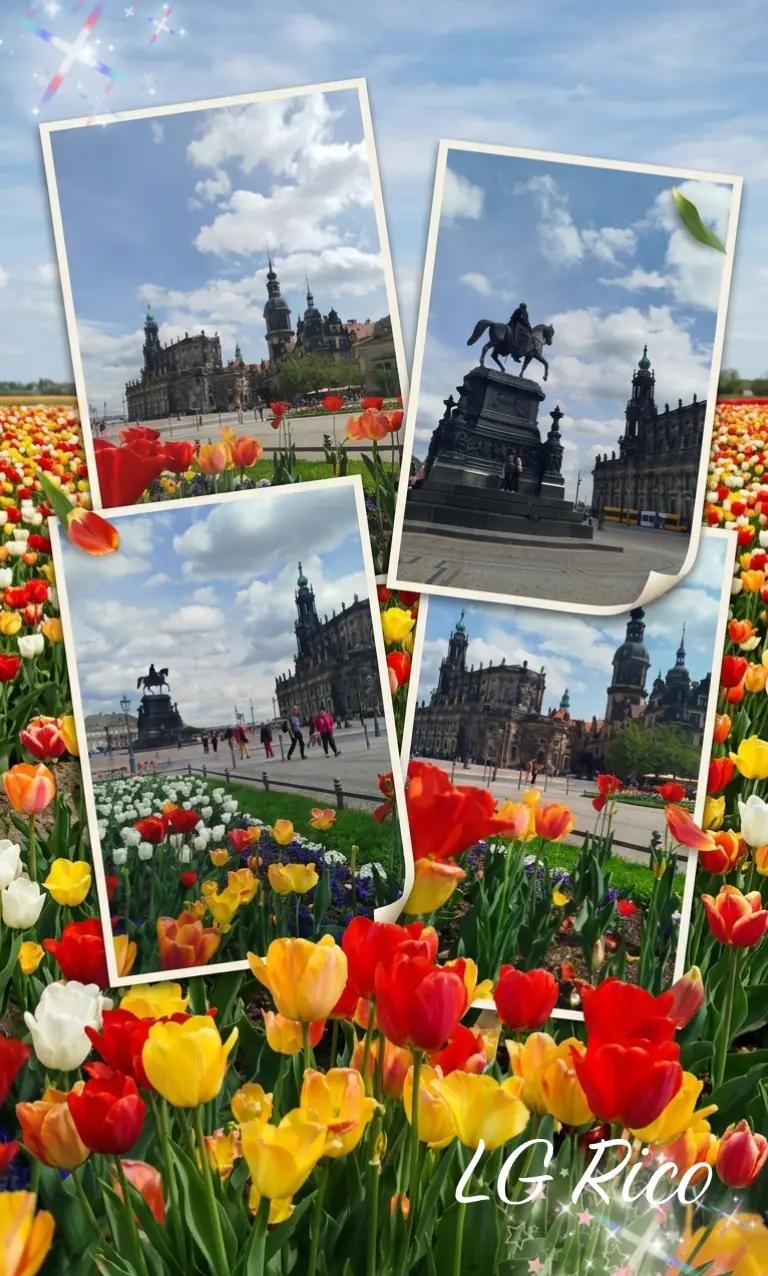 @Balu75756 🇩🇪