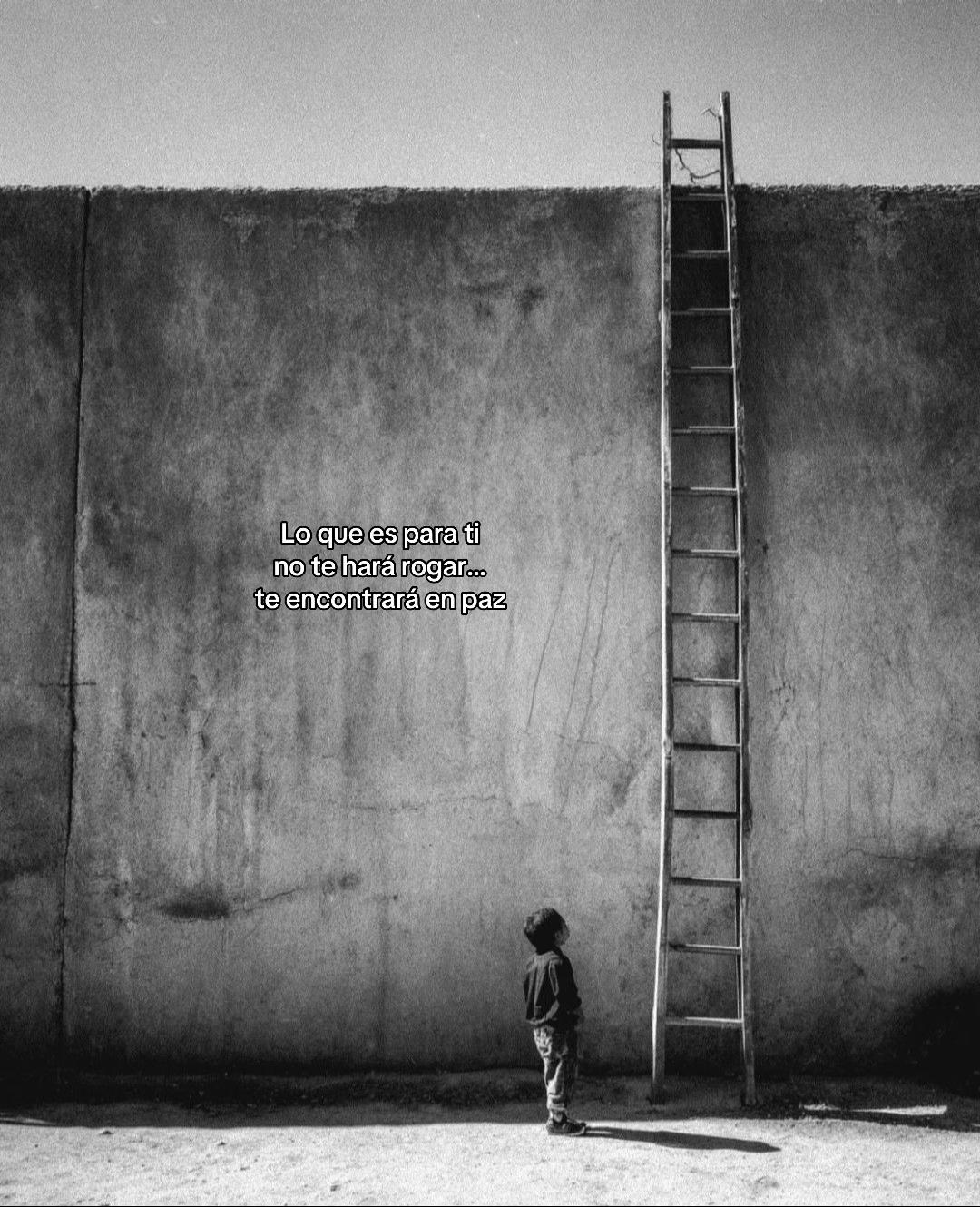 @_._motivaciondiaria_