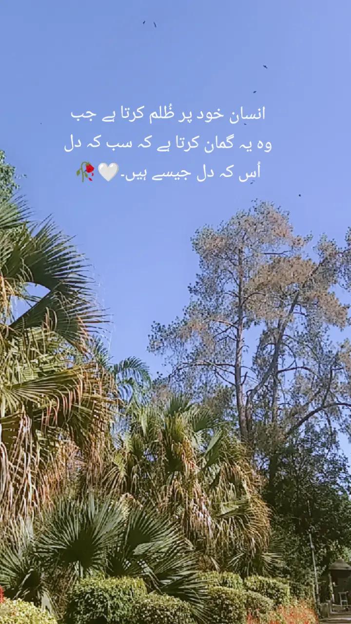 @aiman khan