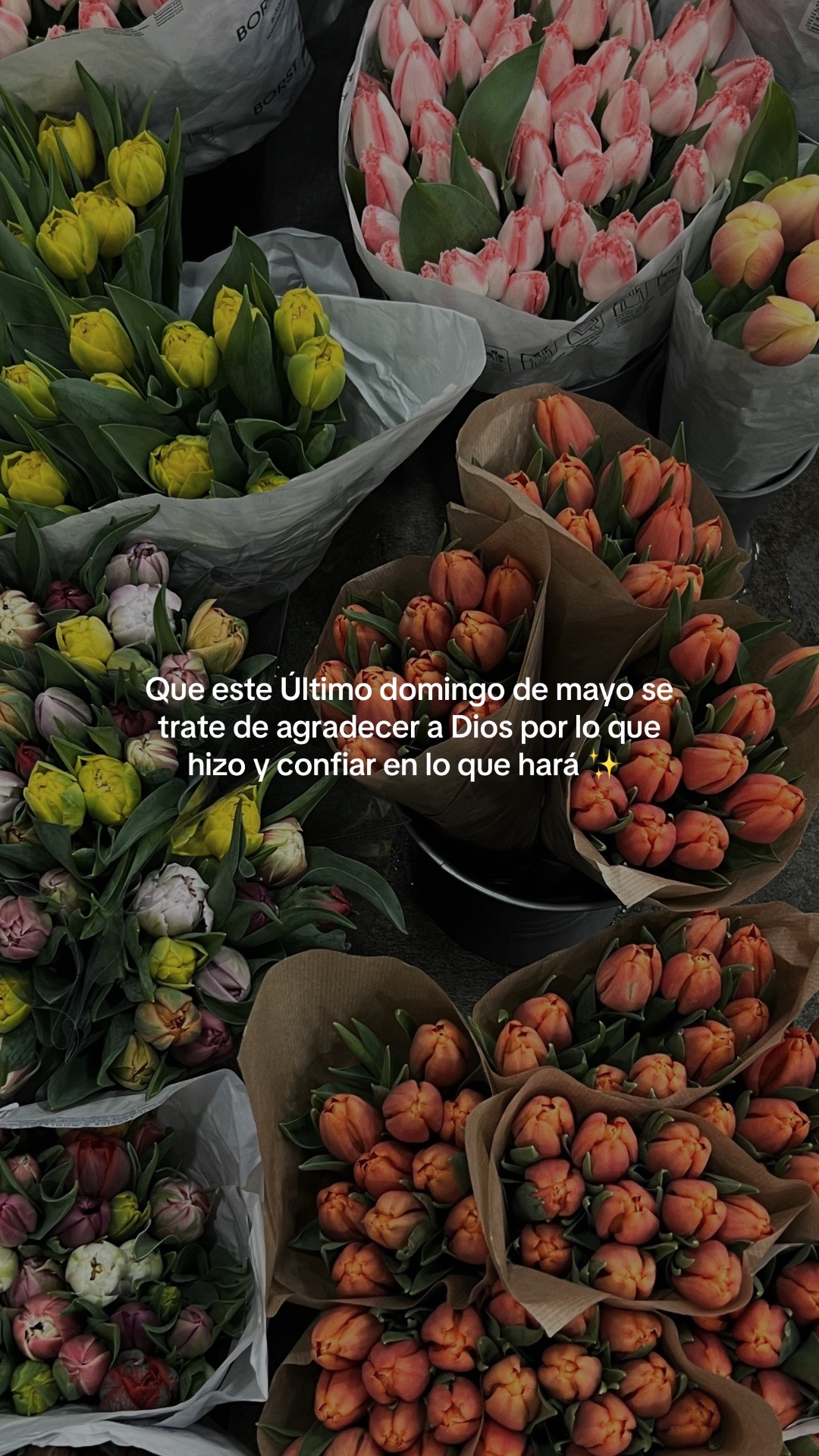 @vidabonita❤️🩹