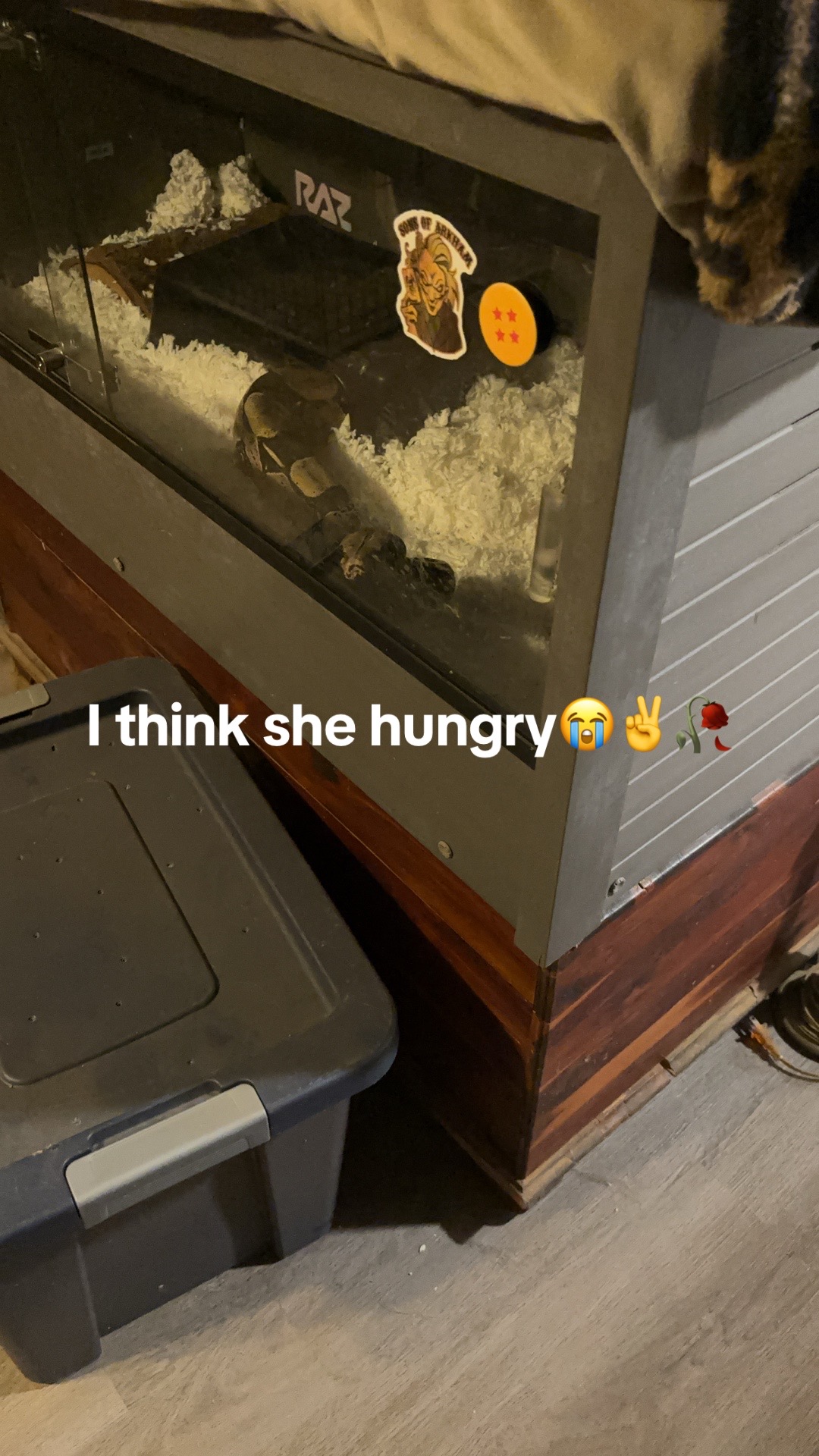 @H4XY