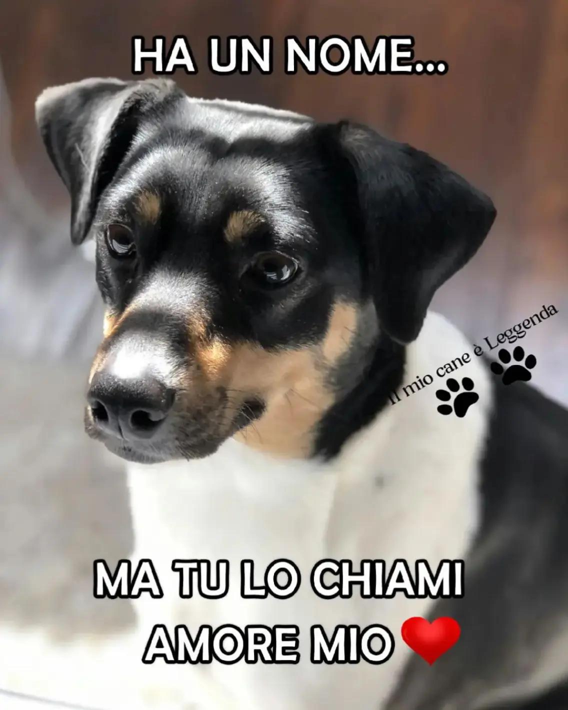 @Raffaele