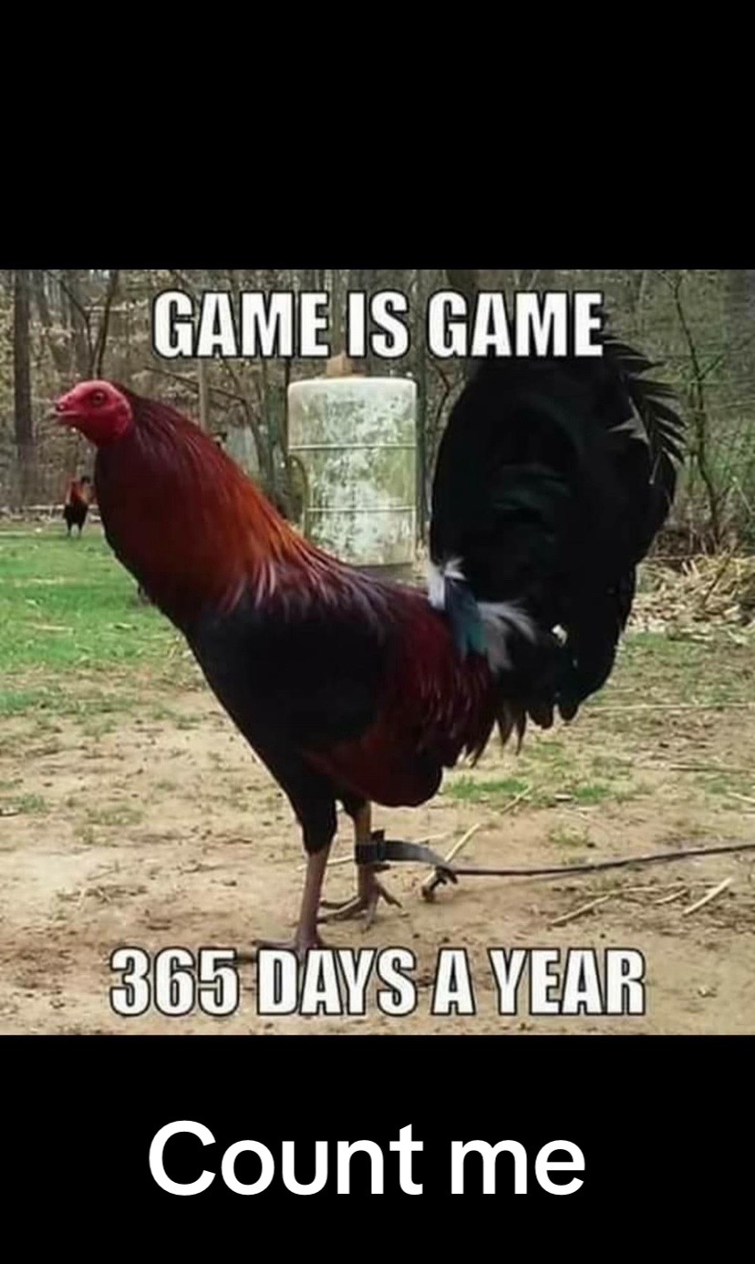 @HD&ensp;Gamefarm