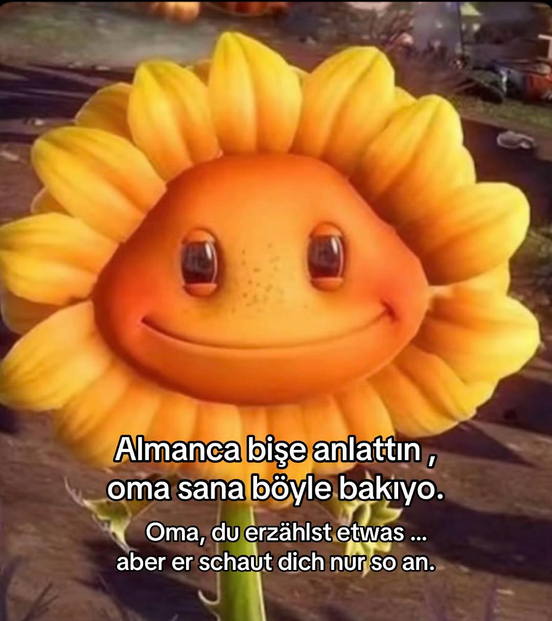 @seher neumann