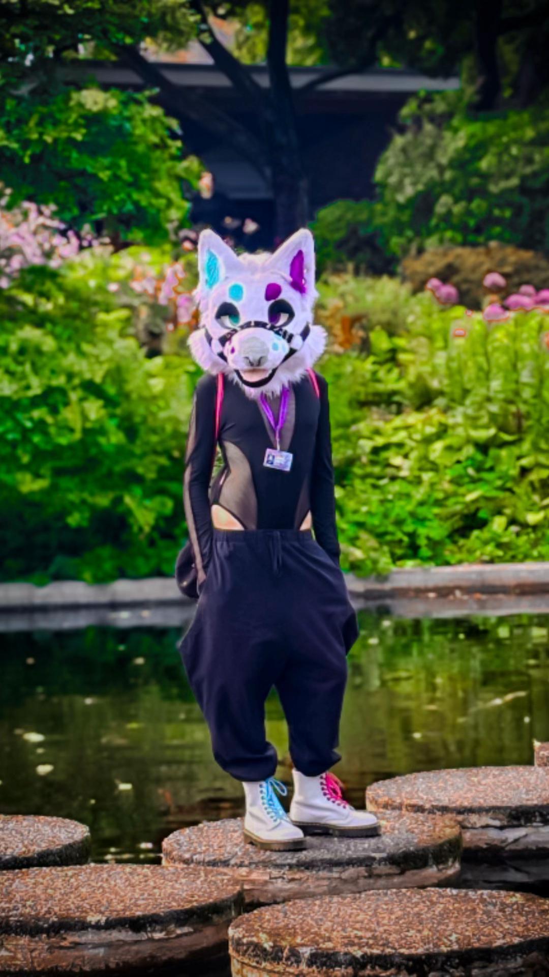 @✨Nekura the Fox✨
